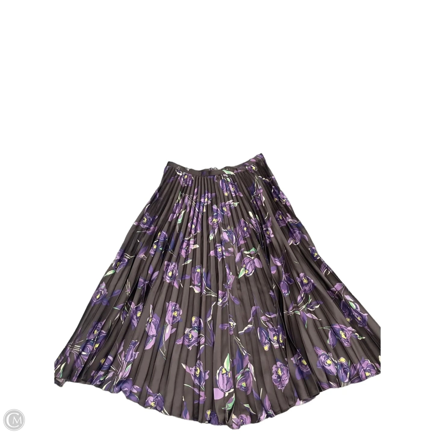 Skirt Maxi By Lauren By Ralph Lauren In Brown & Purple, Size: 6