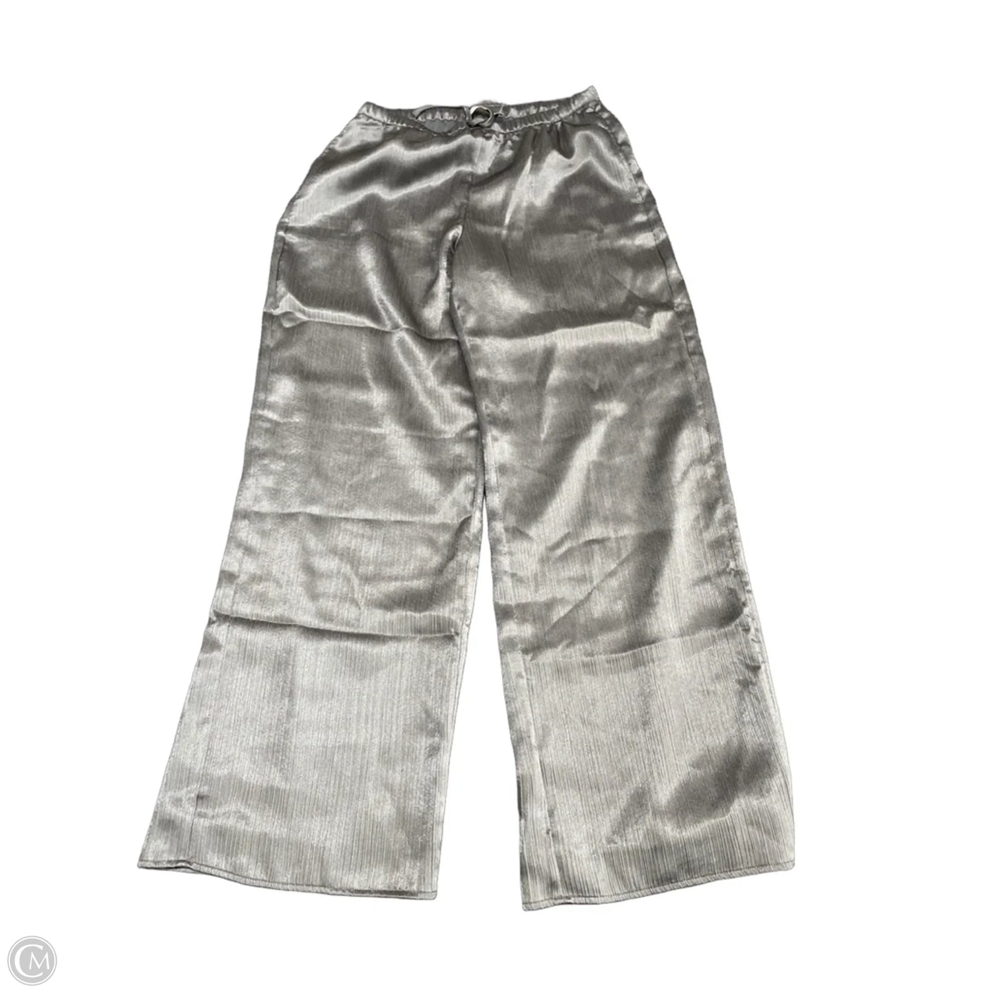 Pants Other By Abercrombie And Fitch In Silver, Size: Xs