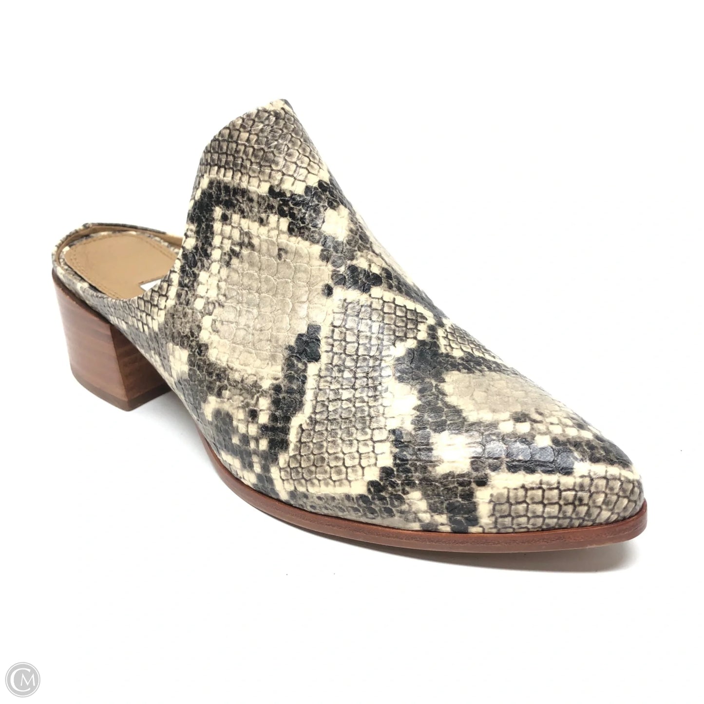 Shoes Heels Block By Steve Madden In Snakeskin Print, Size: 8