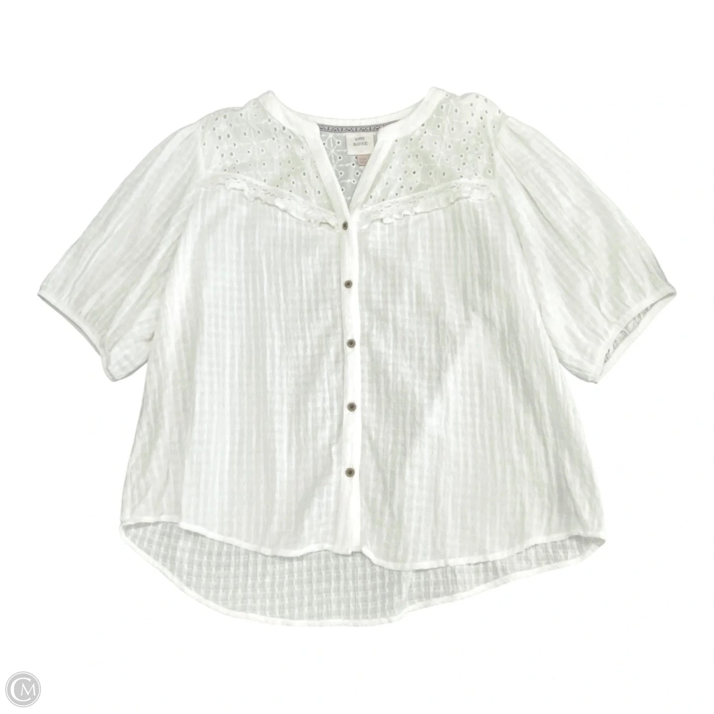 Top Short Sleeve By Knox Rose In White, Size: Xxl