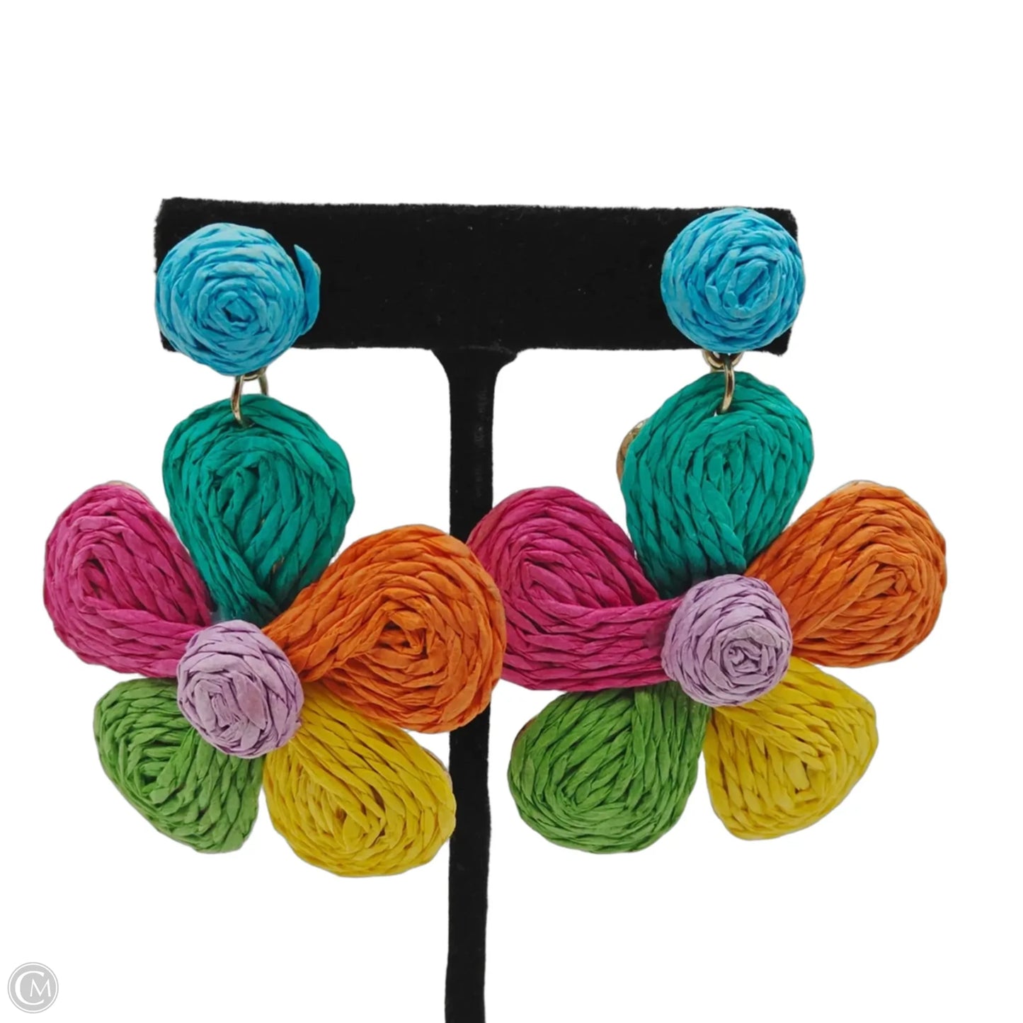 Earrings Dangle/drop By Clothes Mentor