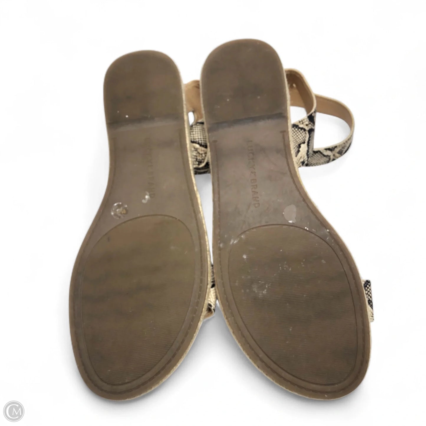 Sandals Flats By Lucky Brand In Snakeskin Print, Size: 9
