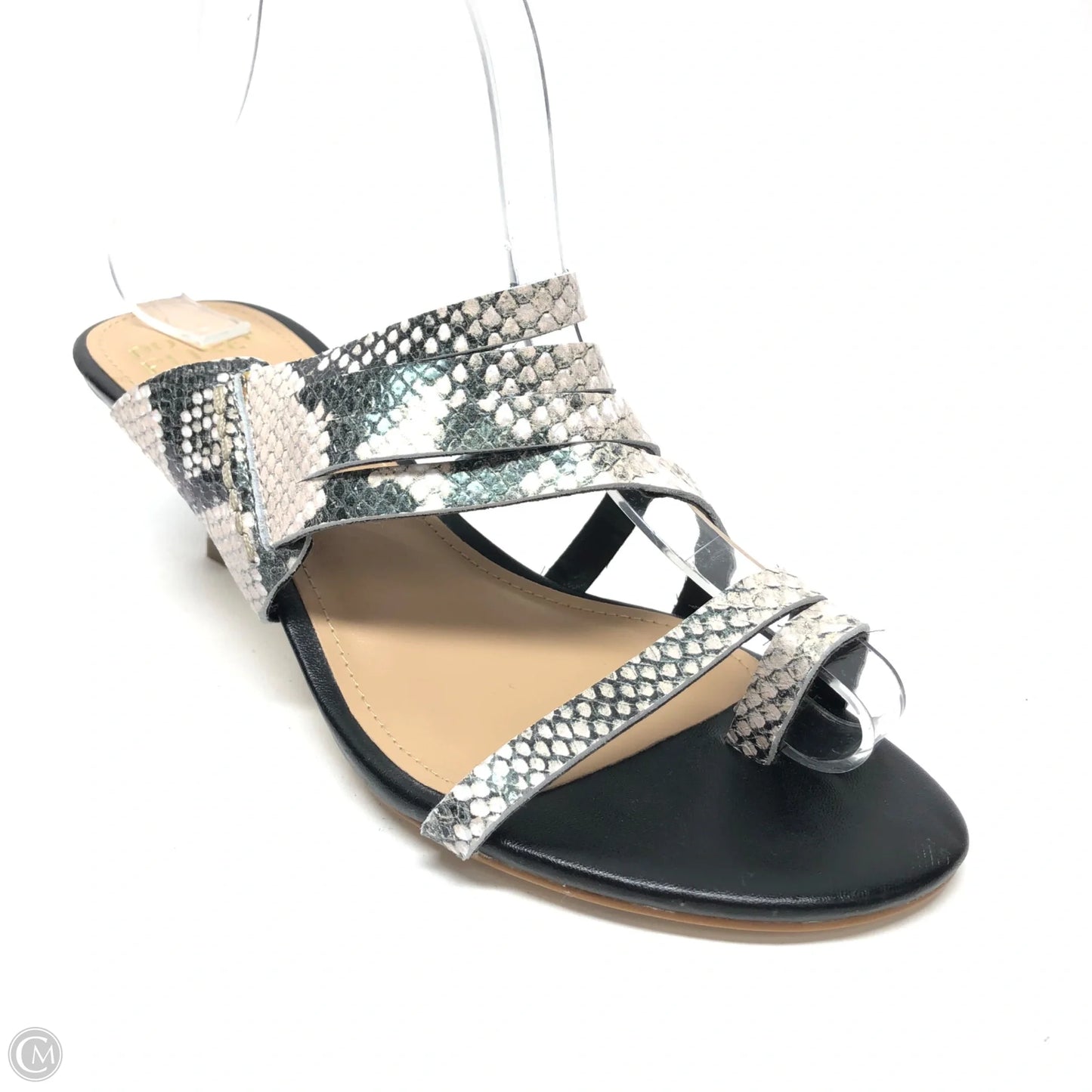 Sandals Heels Kitten By Donald Pliner In Snakeskin Print, Size: 7.5