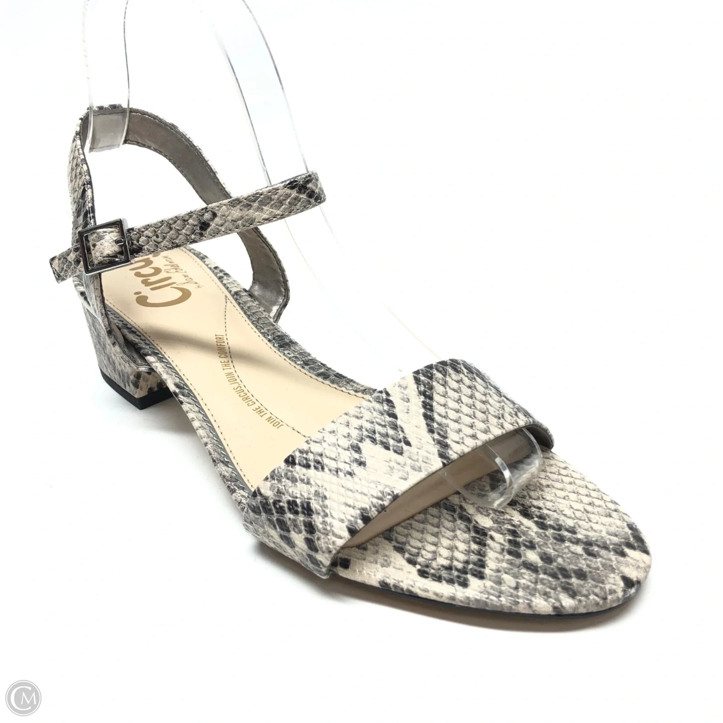 Sandals Heels Block By Circus By Sam Edelman In Snakeskin Print, Size: 8