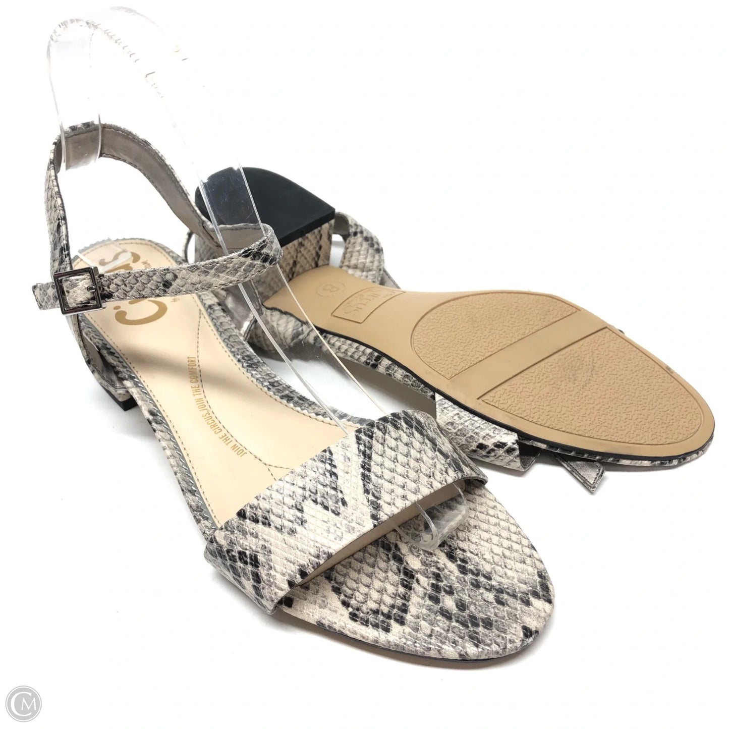 Sandals Heels Block By Circus By Sam Edelman In Snakeskin Print, Size: 8