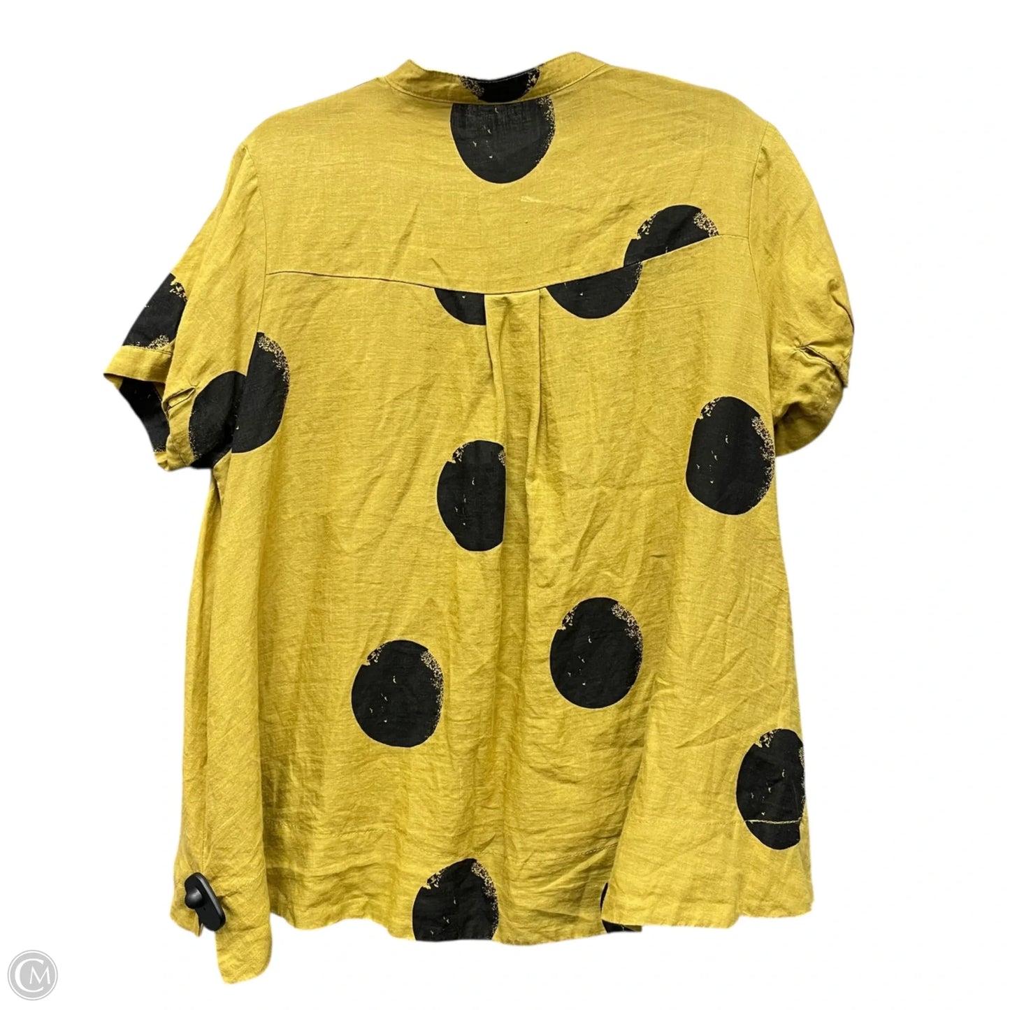 Tunic Short Sleeve By Clothes Mentor In Black & Tan, Size: L