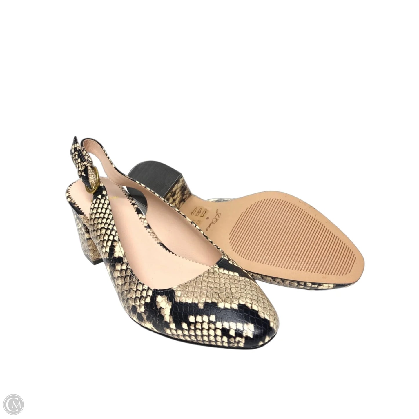 Shoes Heels Block By J. Crew In Snakeskin Print, Size: 6