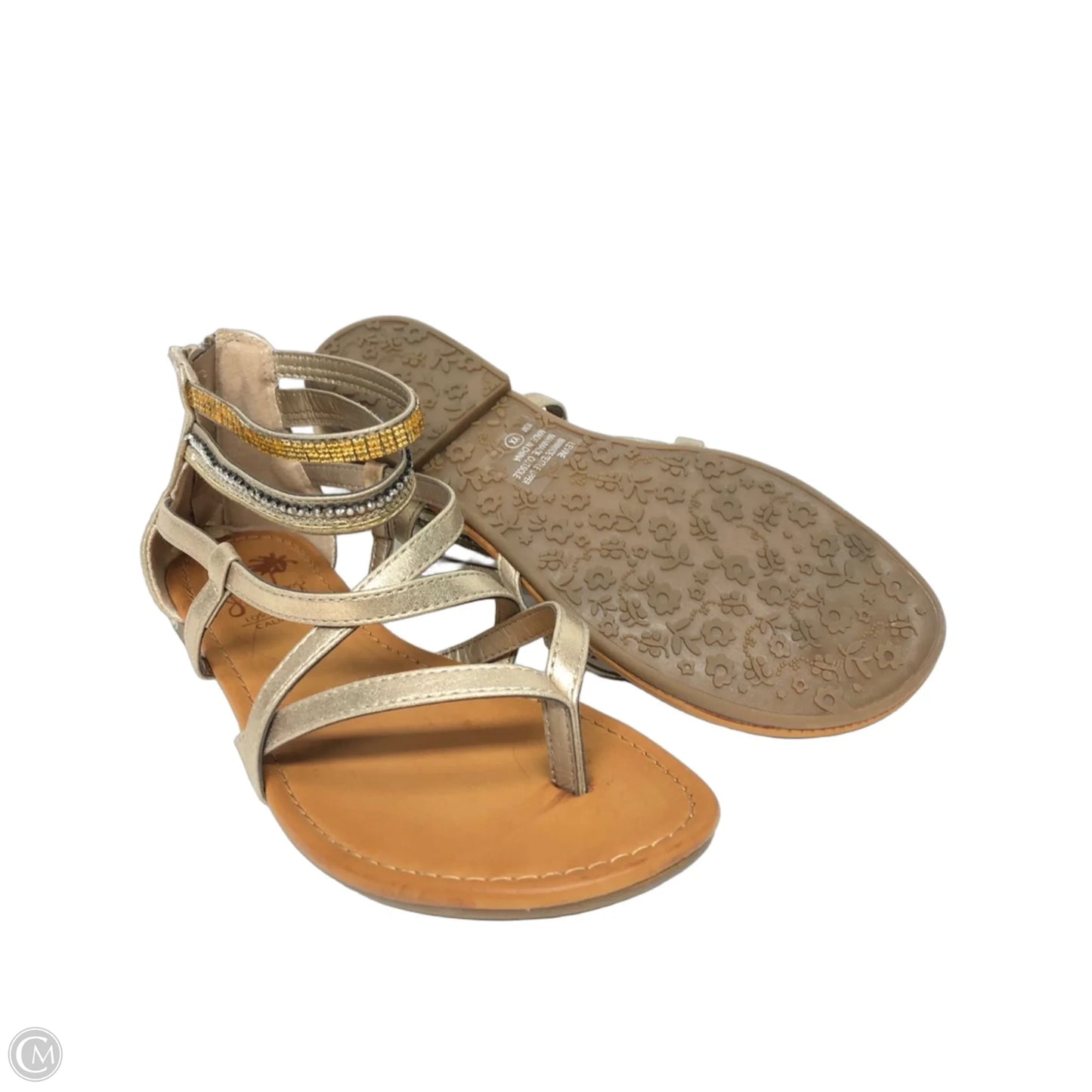 Sandals Flats By Jelly Pop In Bronze, Size: 10