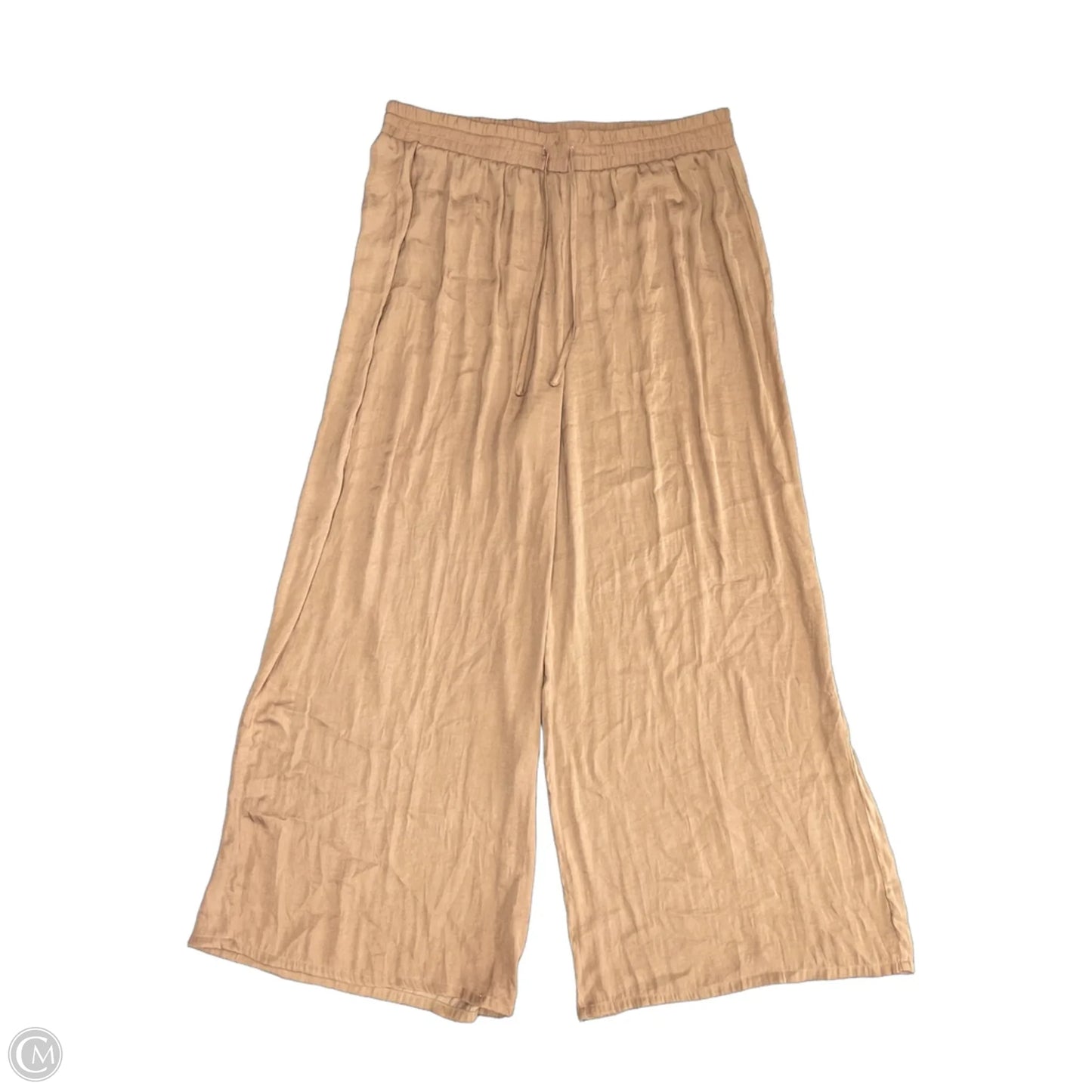 Pants Set 2pc By Joie In Brown, Size: Xl