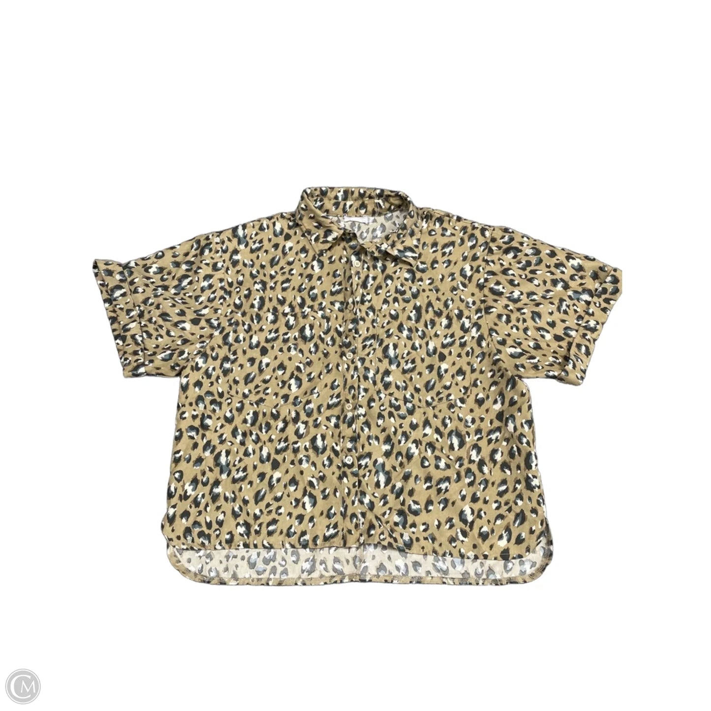 Top Short Sleeve By Anniewear In Brown, Size: M