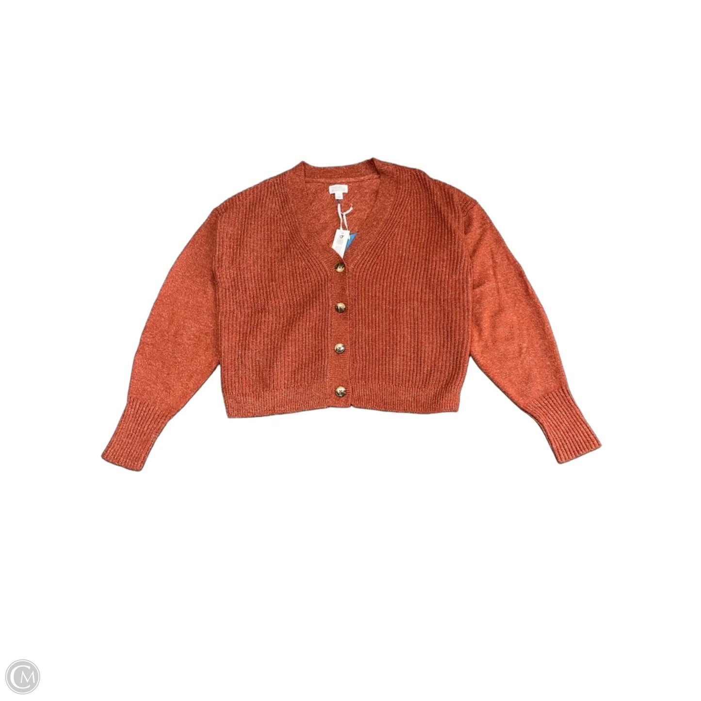 Sweater Cardigan By Market & Spruce In Orange, Size: Xl