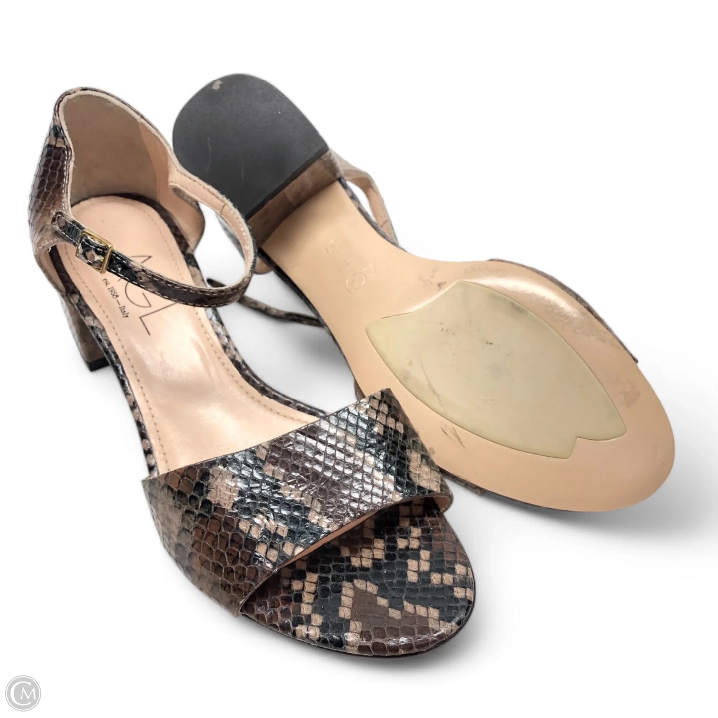 Shoes Heels Block By Agl In Animal Print, Size: 6.5