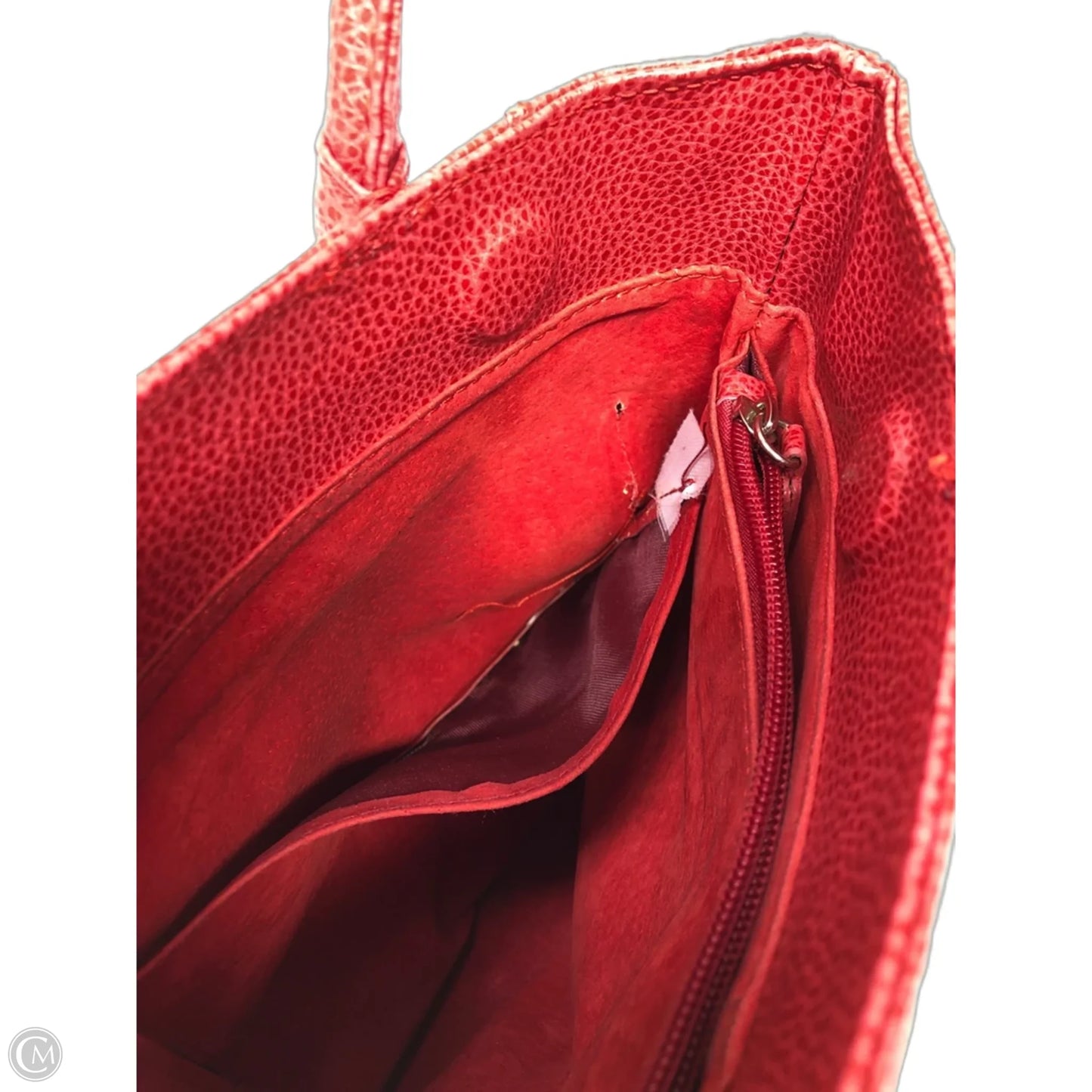 Handbag Luxury Designer By Tods