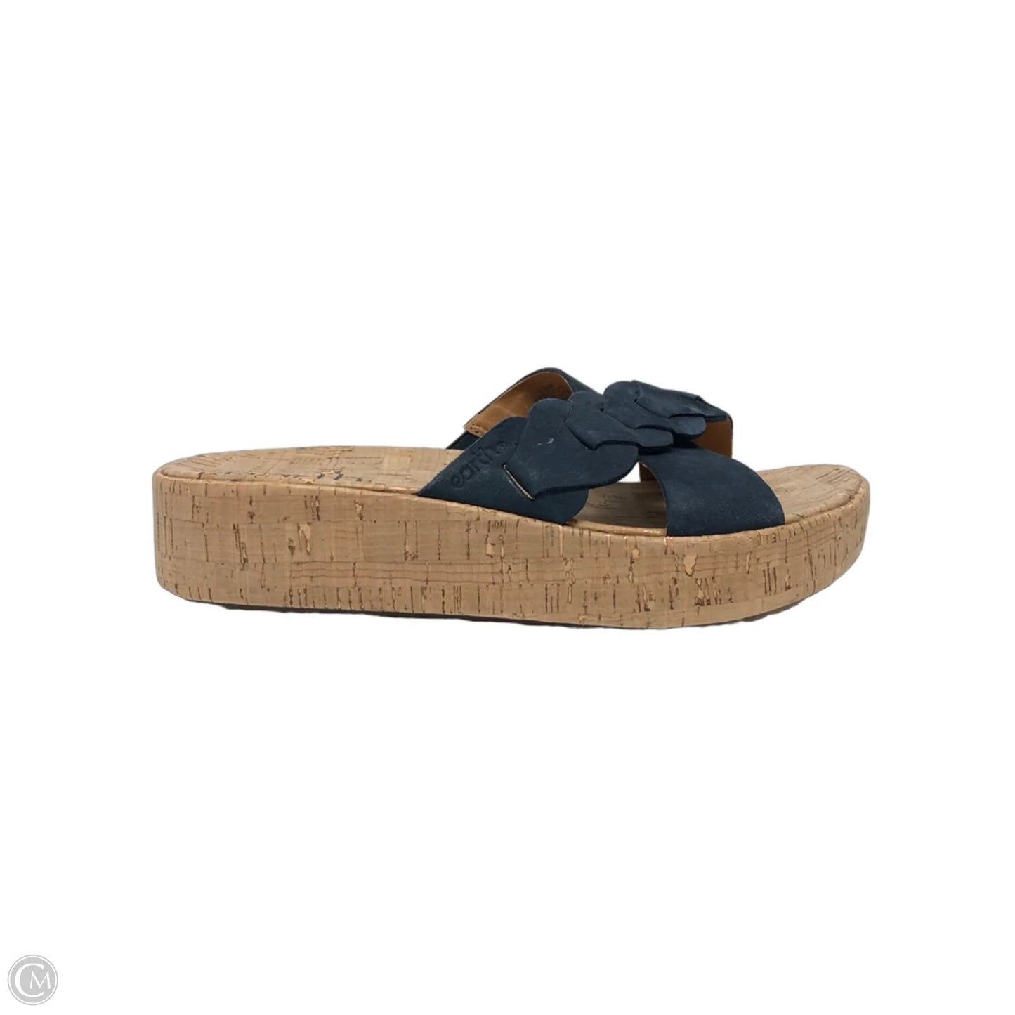 Sandals Heels Wedge By Earth In Blue, Size: 6.5