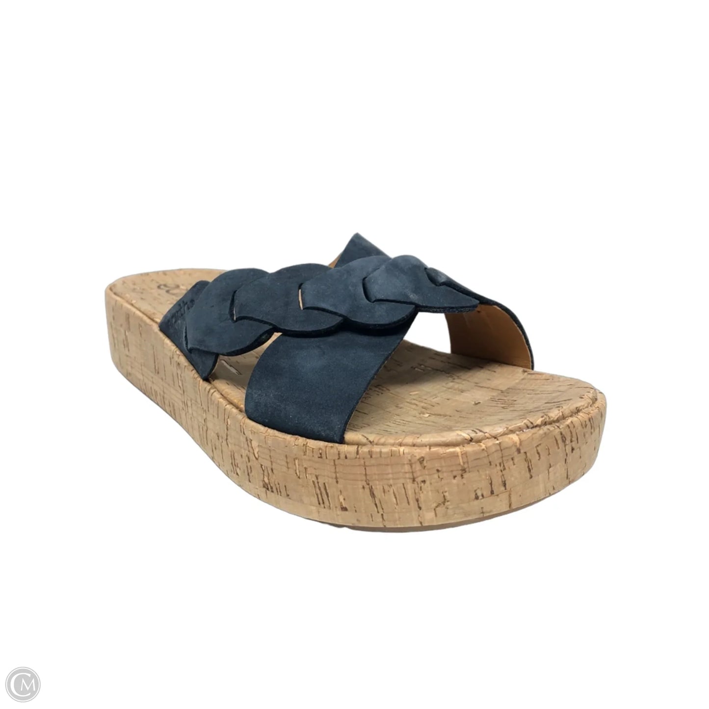 Sandals Heels Wedge By Earth In Blue, Size: 6.5