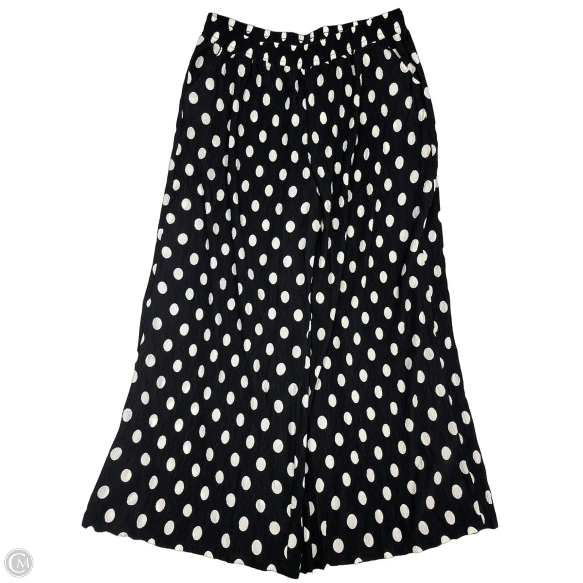 Pants Set 2pc By Grace & Emma In Polkadot Pattern, Size: 2x