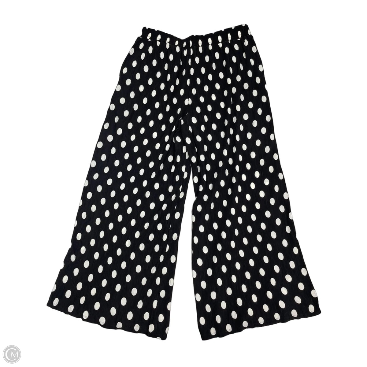 Pants Set 2pc By Grace & Emma In Polkadot Pattern, Size: 2x