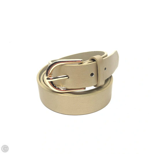Belt By Clothes Mentor