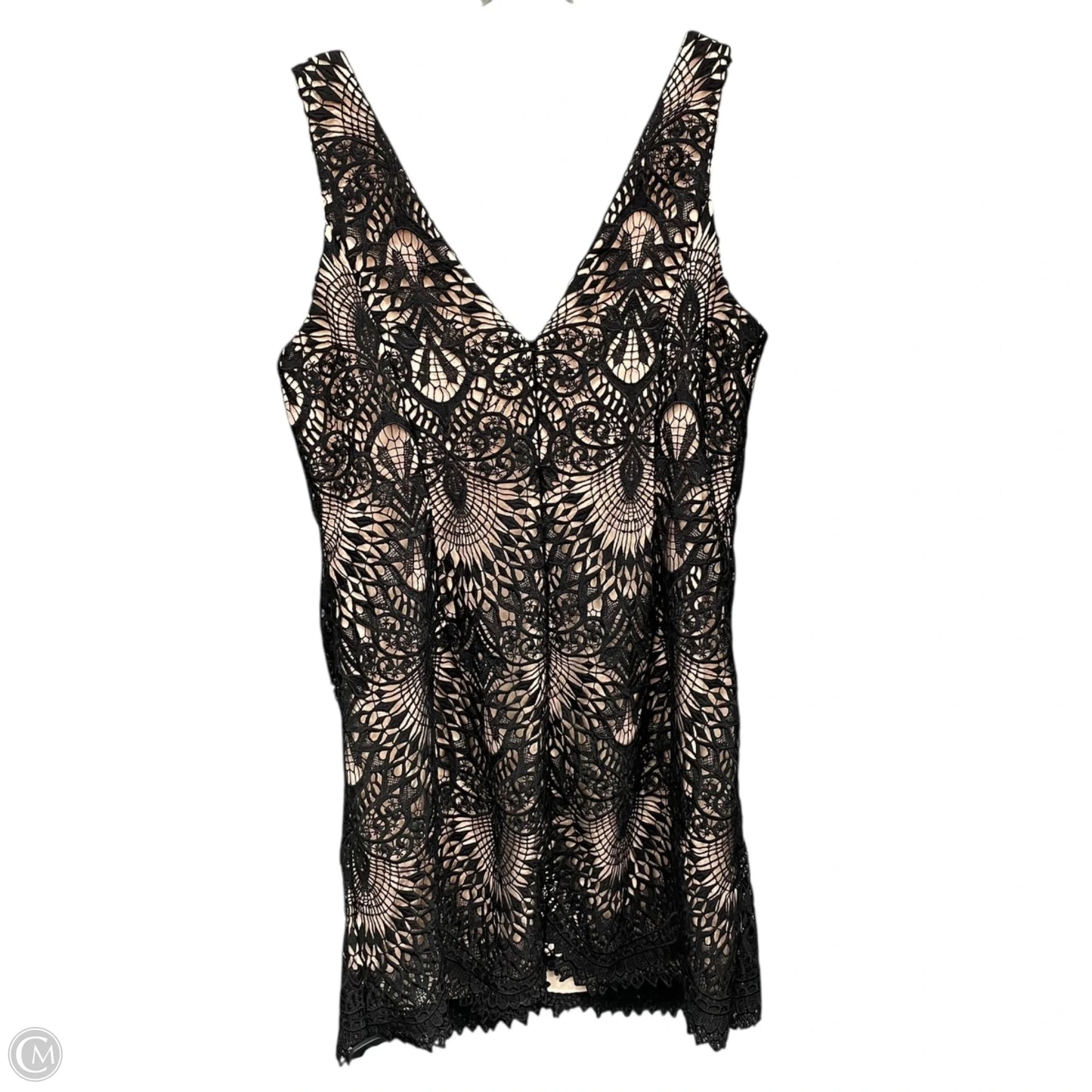 Dress Party Short By Clothes Mentor In Black & Cream, Size: 16