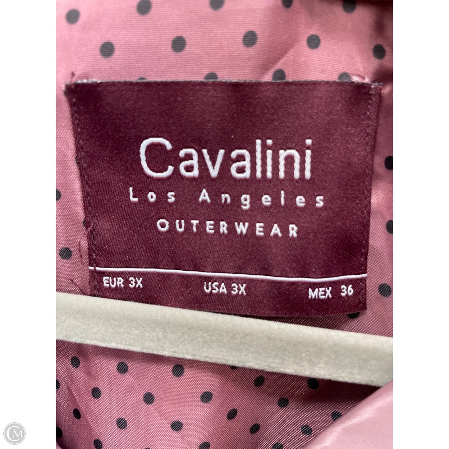 Jacket Windbreaker By Clothes Mentor In Purple, Size: 3x