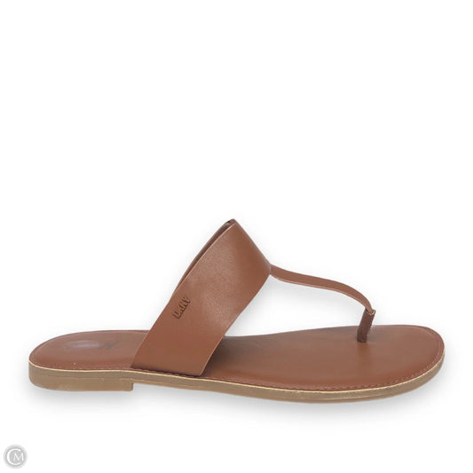 Sandals Flats By Dkny In Brown, Size: 8.5
