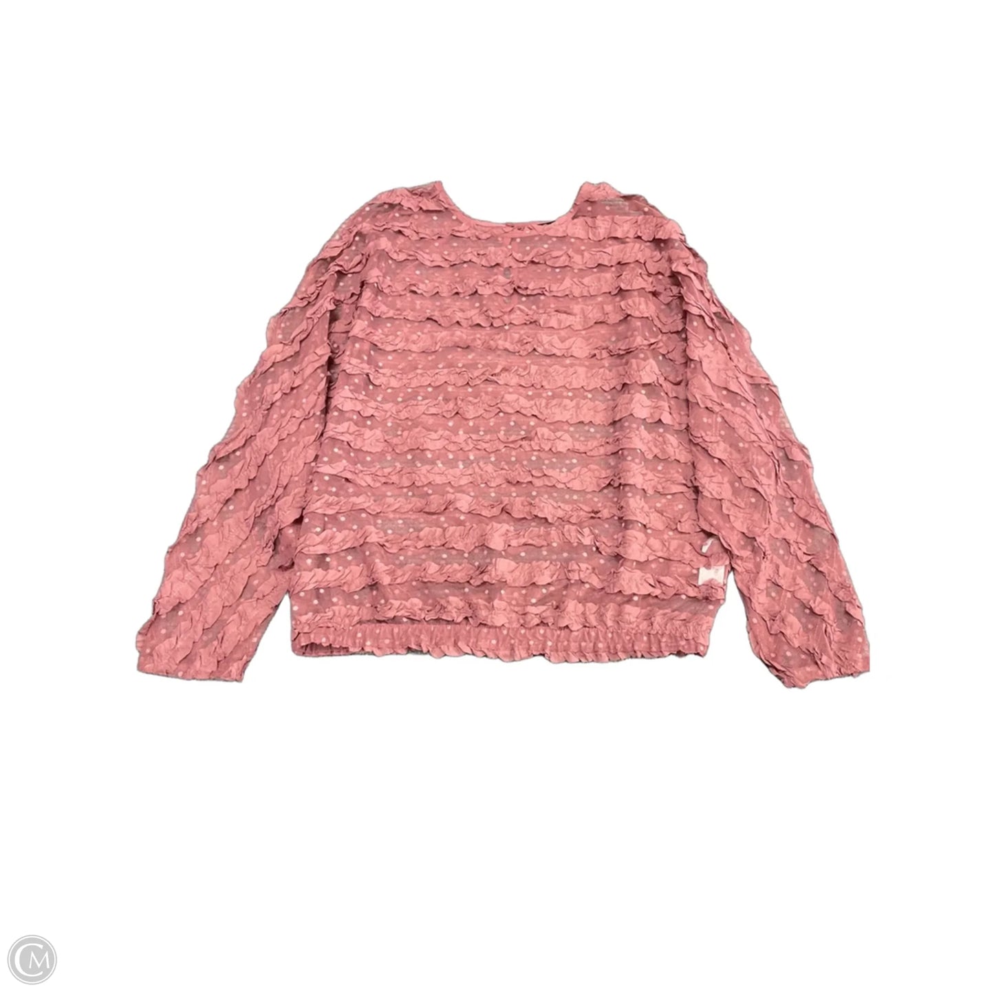 Top Long Sleeve By Zara In Purple, Size: L