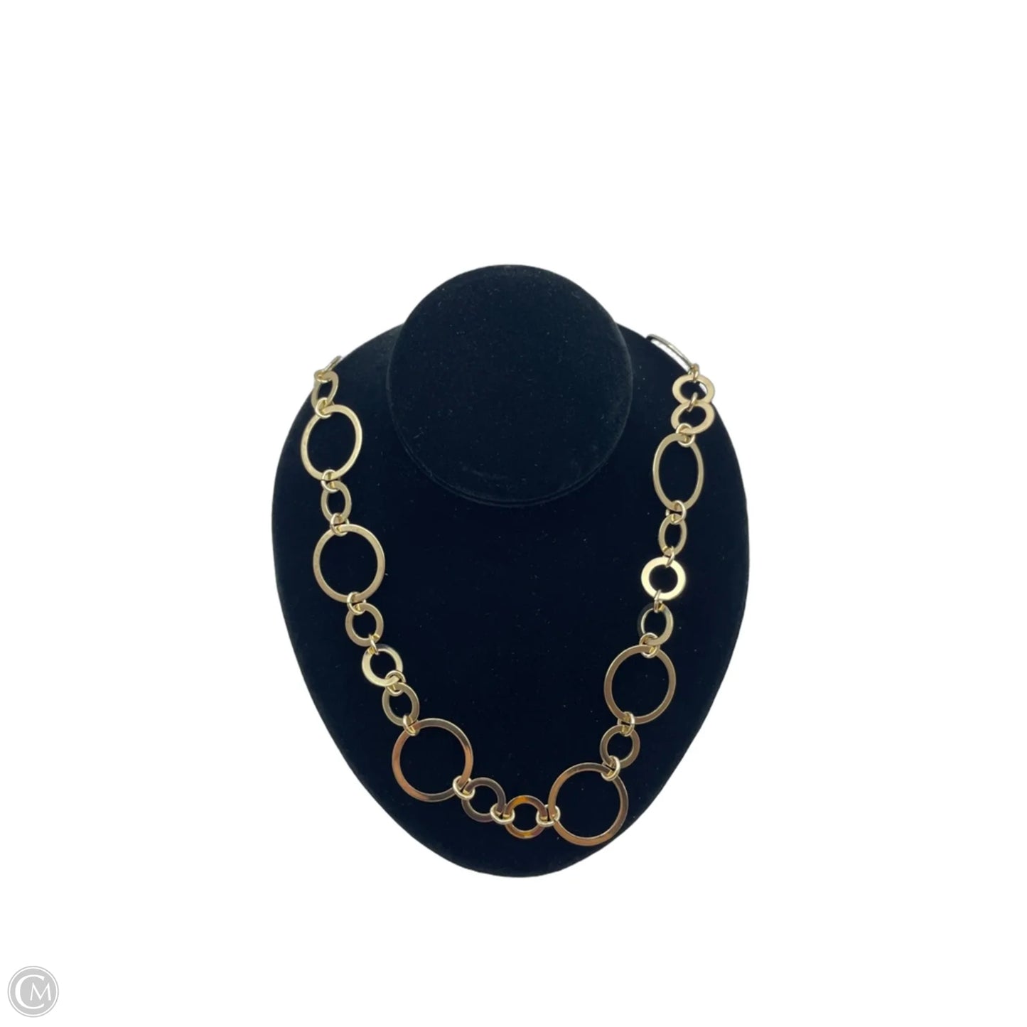 Necklace Chain By Chicos