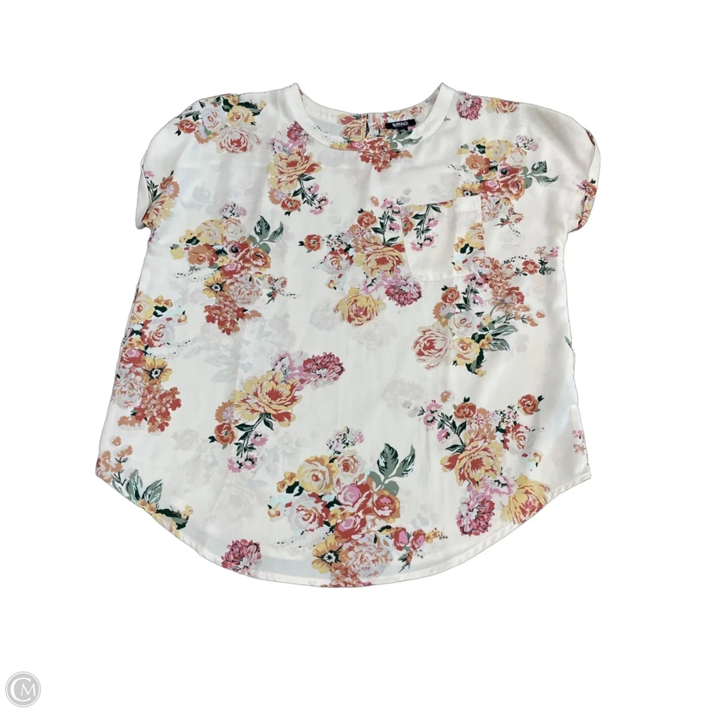 Top Short Sleeve By Buffalo David Bitton In Cream, Size: L