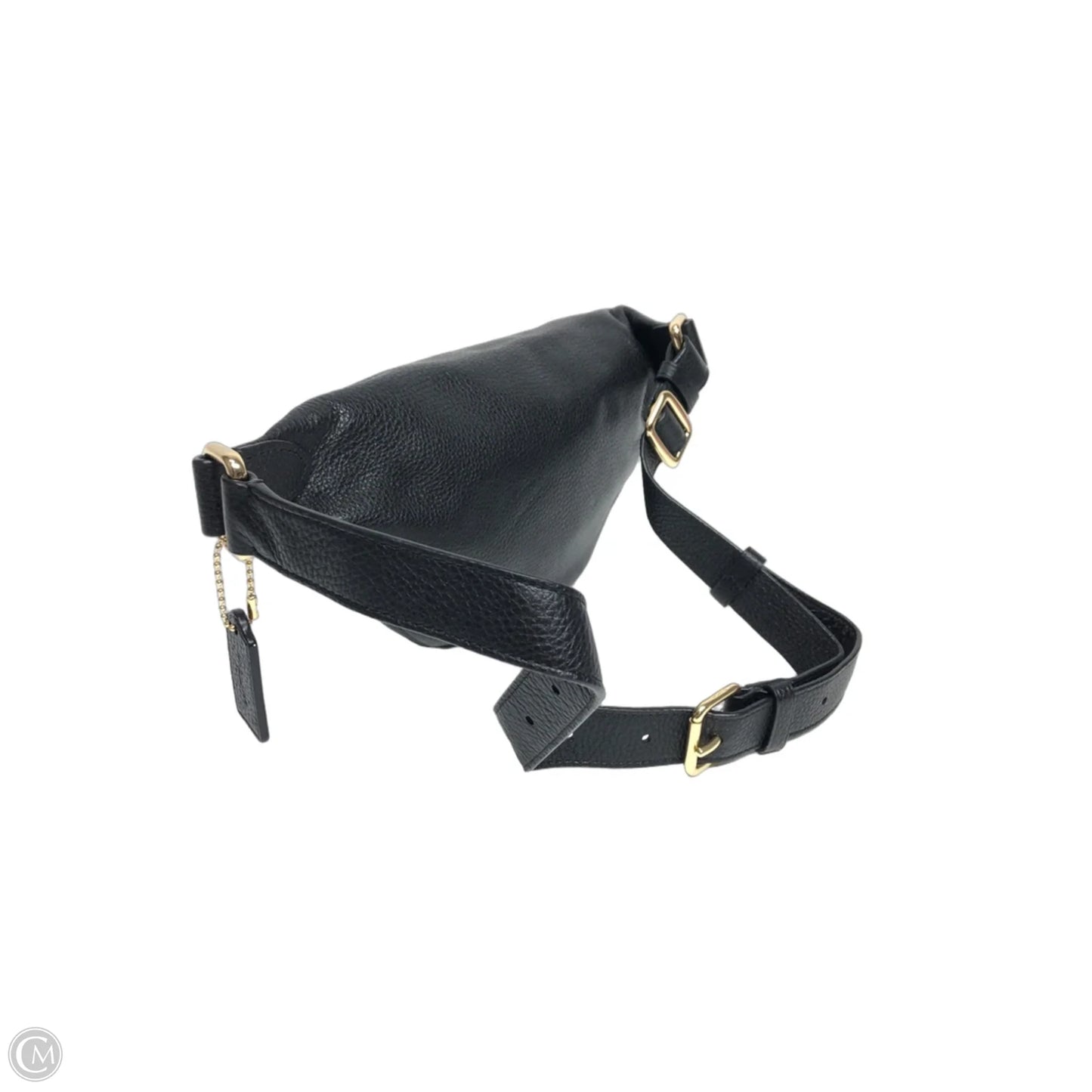 Belt Bag Designer By Coach, Size: Medium