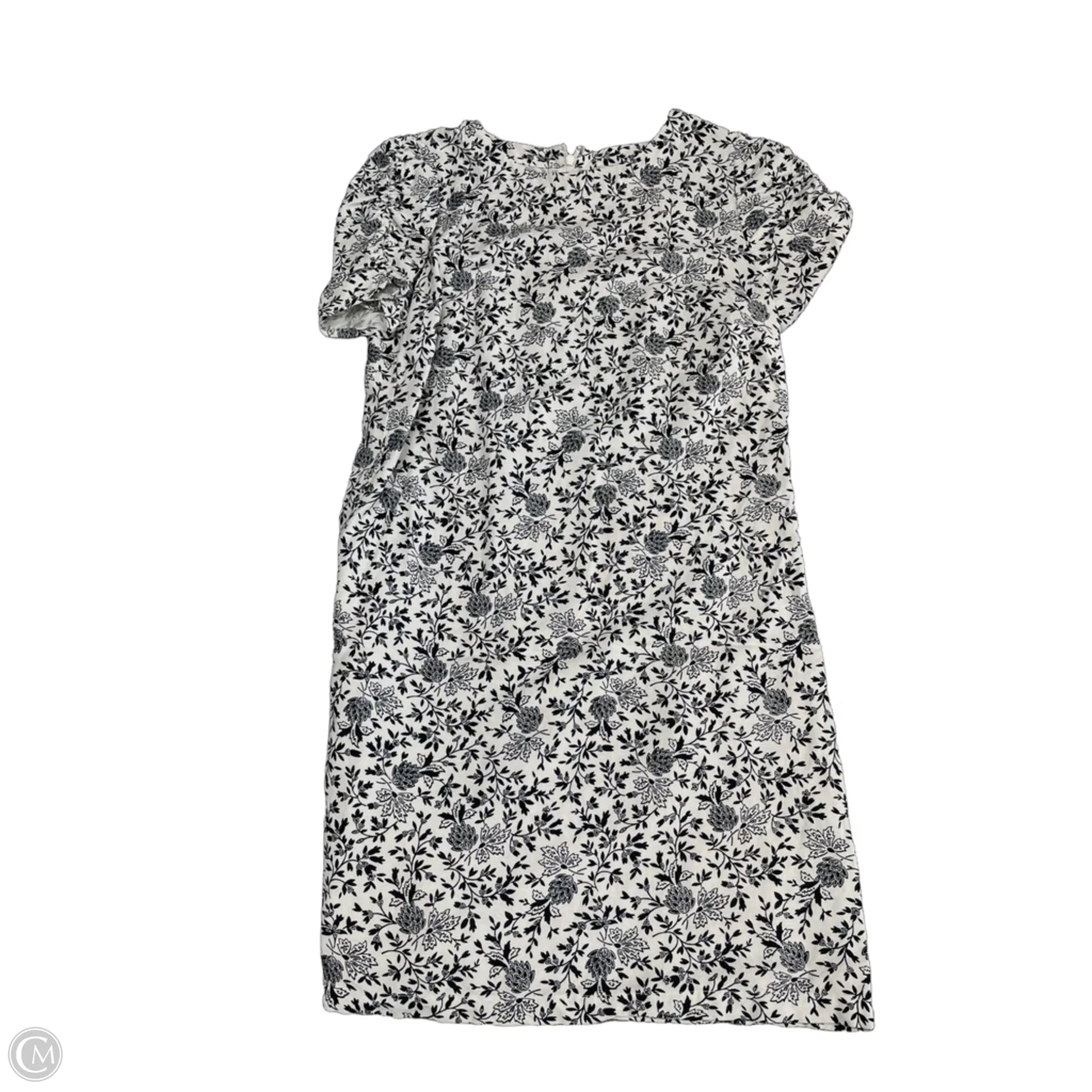 Dress Casual Short By Loft In Blue & White, Size: 0