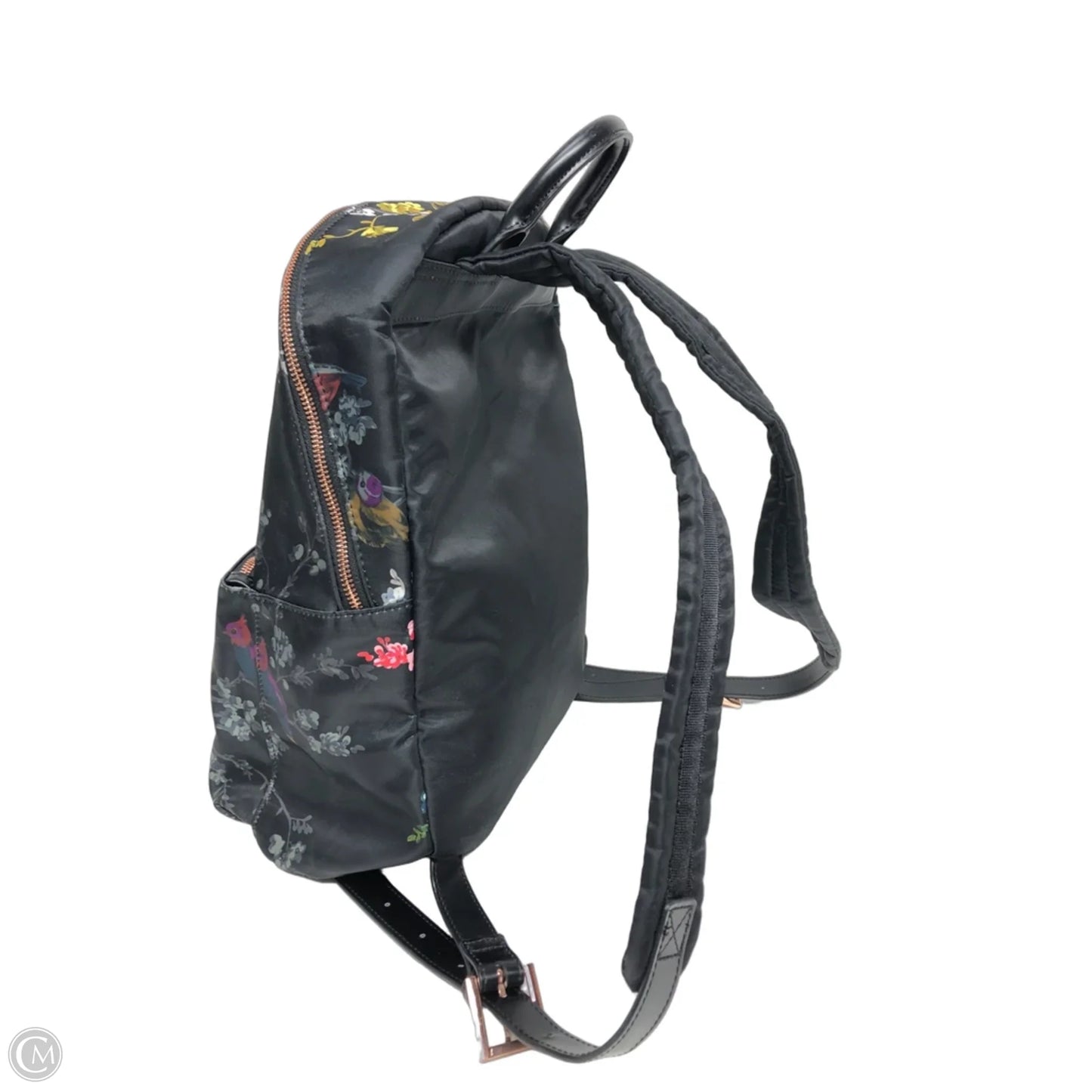 Backpack By Ted Baker
