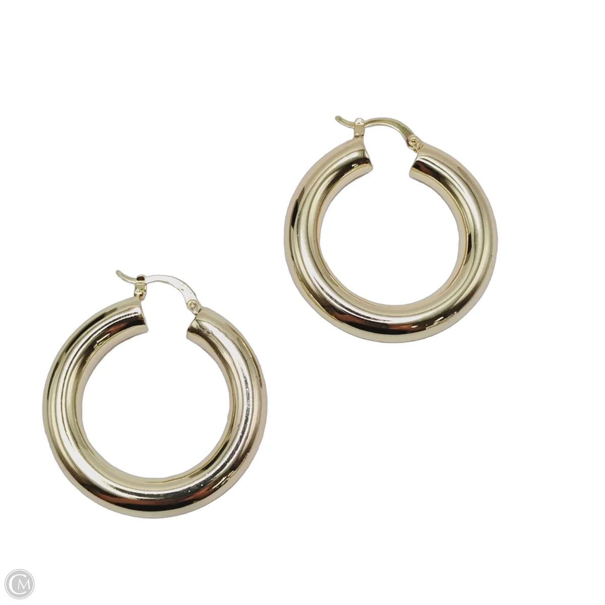 Earrings Hoop By Cmc
