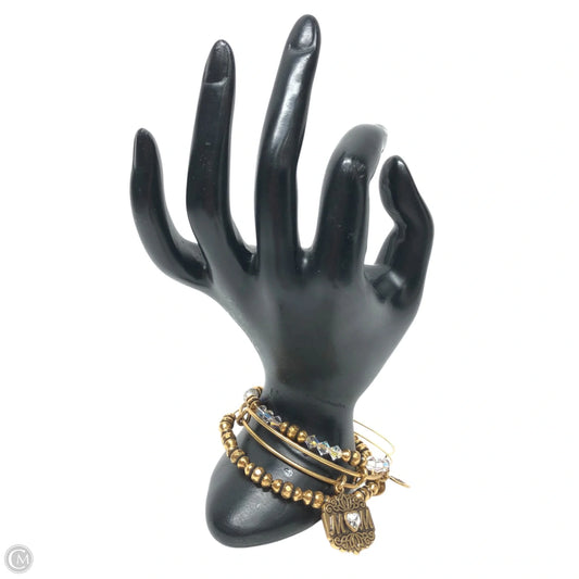Bracelet Set By Alex And Ani, Size: 03 Piece Set