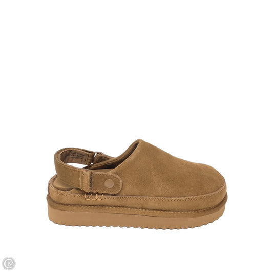 Shoes Flats By Project Cloud In Brown, Size: 6