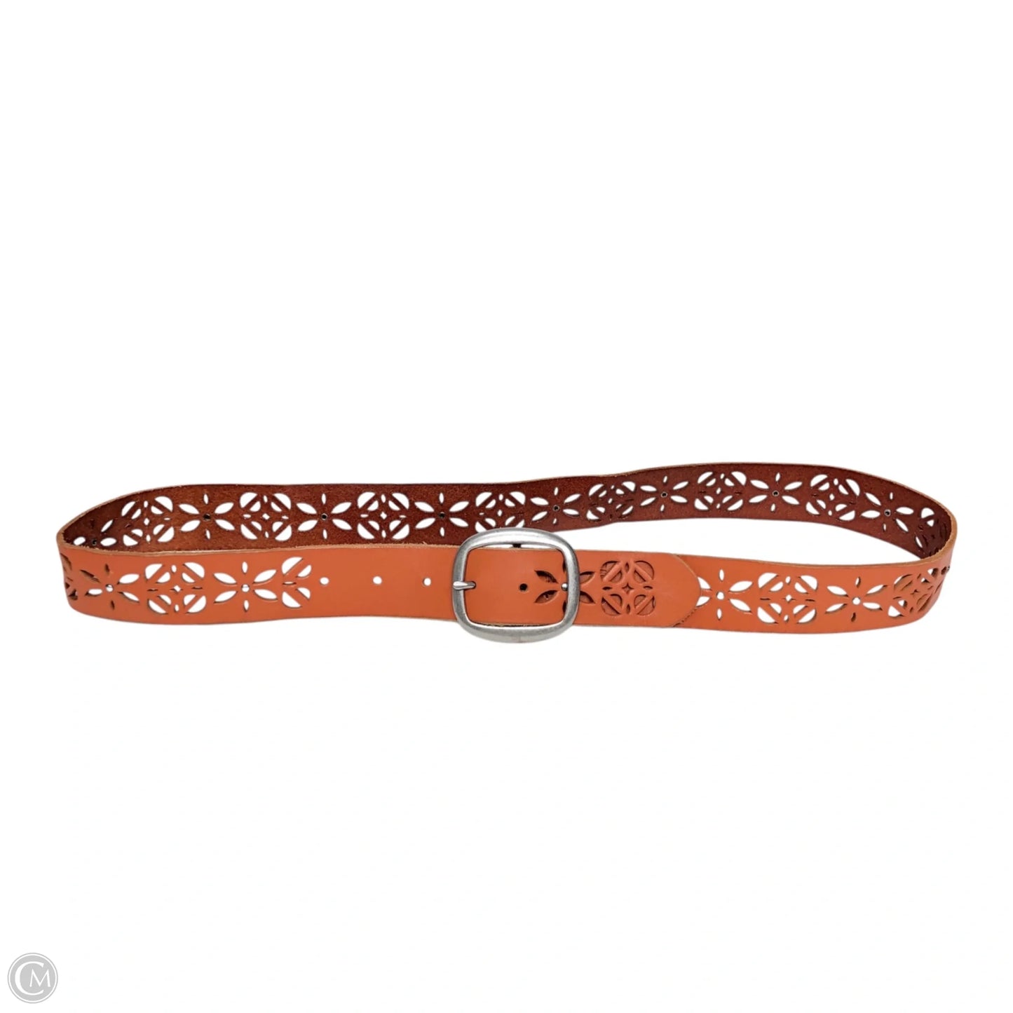 Belt By Fossil, Size: Large