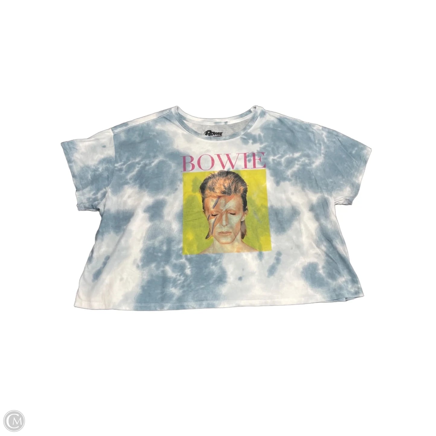 Top Short Sleeve By Clothes Mentor In Blue, Size: 3x