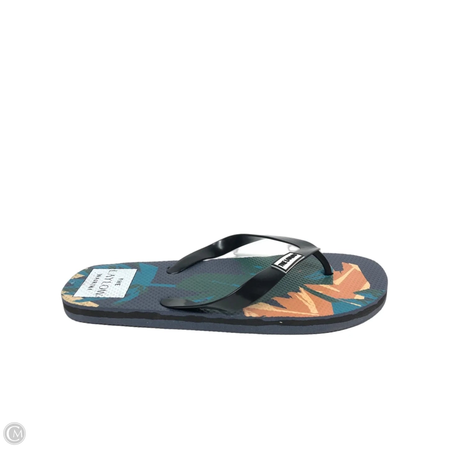 Sandals Flip Flops By Clothes Mentor In Navy, Size: 10
