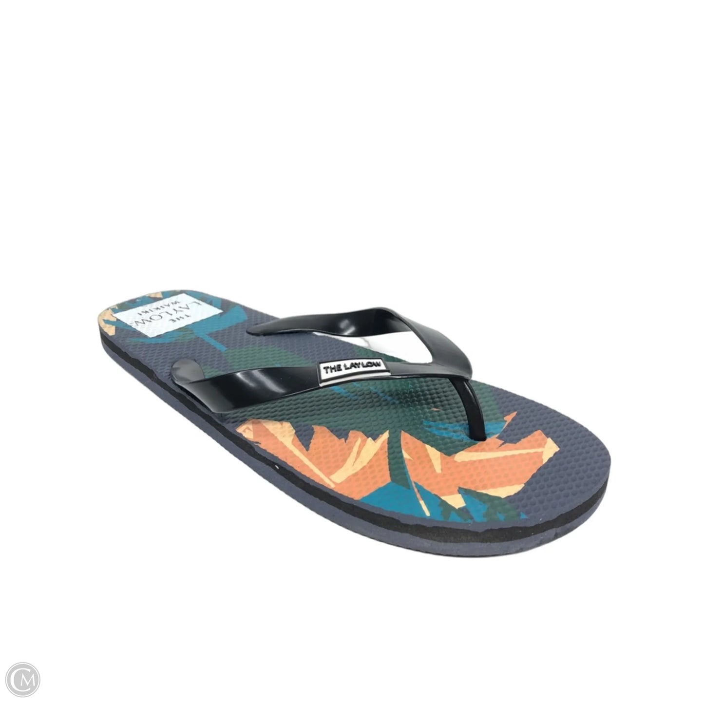 Sandals Flip Flops By Clothes Mentor In Navy, Size: 10