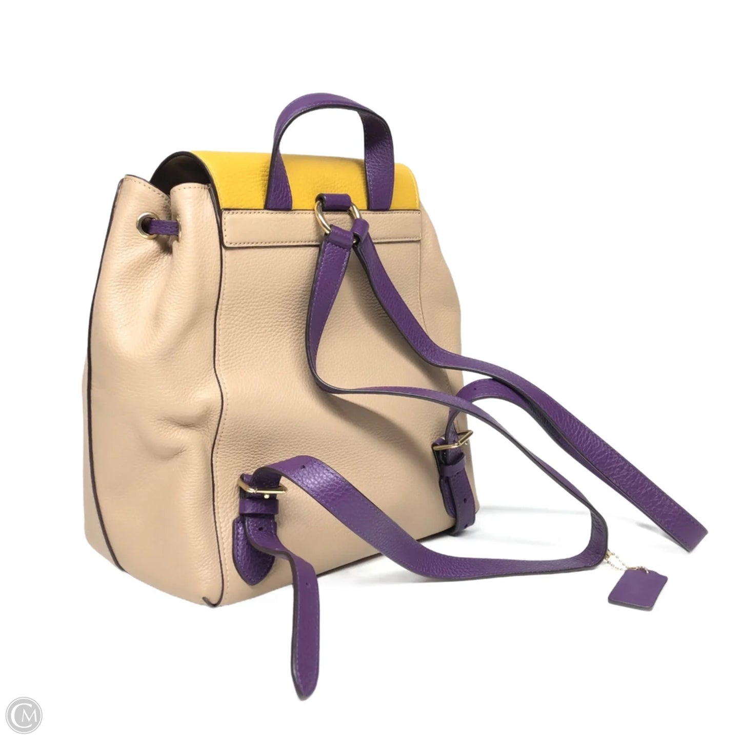 Backpack Designer By Coach, Size: Medium