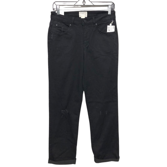 Jeans Straight By Caslon In Black Denim, Size:6