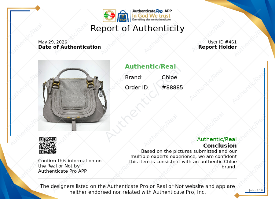 Handbag Luxury Designer By Chloe, Size: Medium
